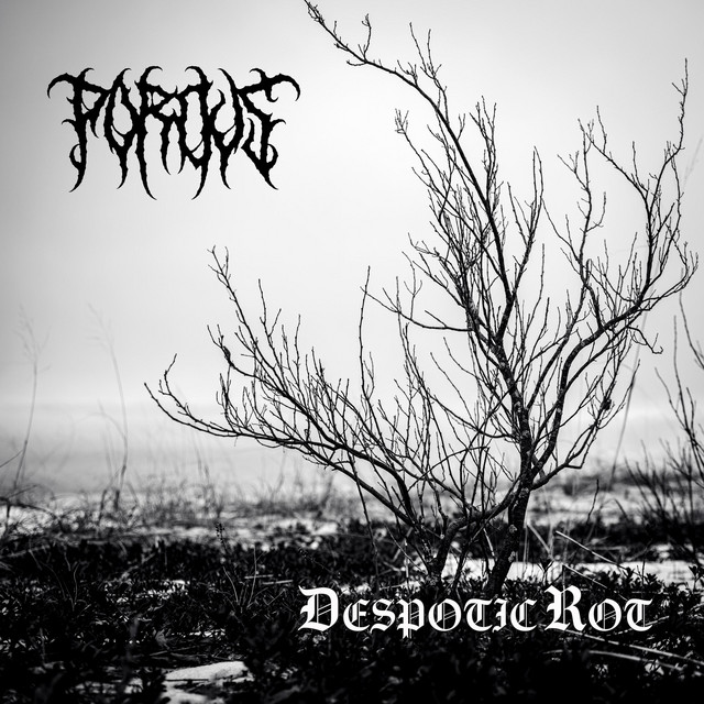 Despotic Rot (single)