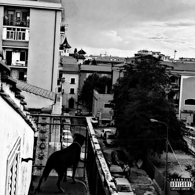 Status cover art