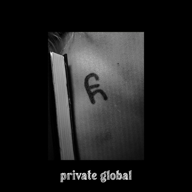 private global cover art