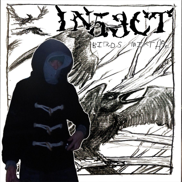 birds cover art