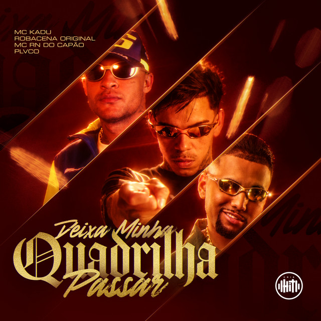 Deixa Minha Quadrilha Passar album image