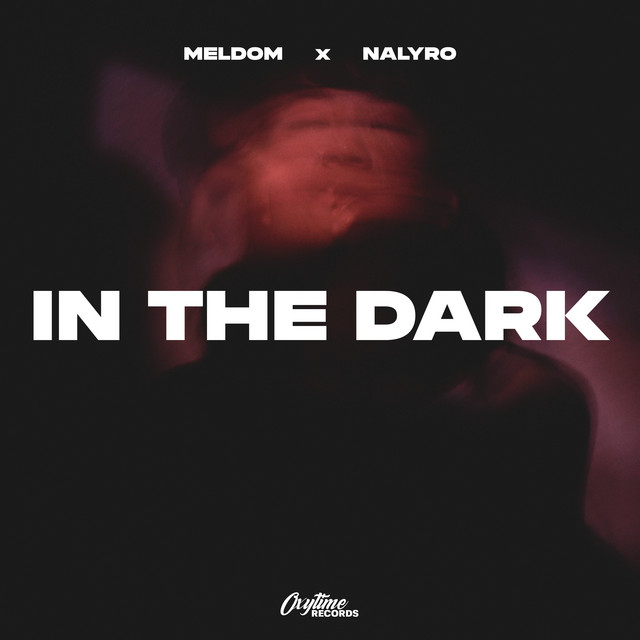 Обкладинка: In The Dark — Meldom