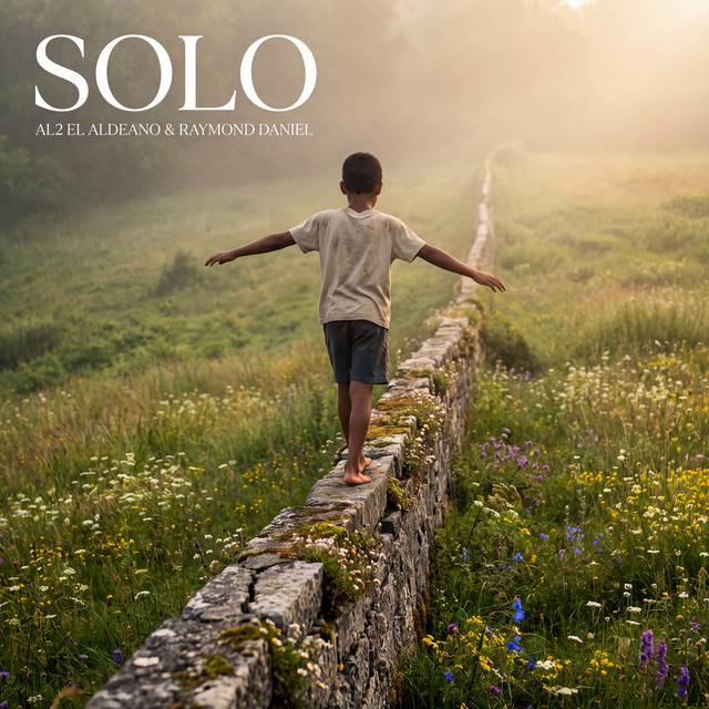 Solo album image