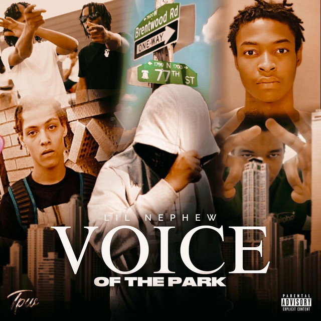 Voice Of The Park cover art