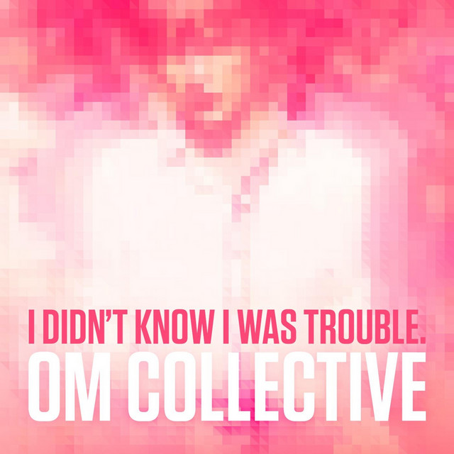 I Didn't Know I Was Trouble cover