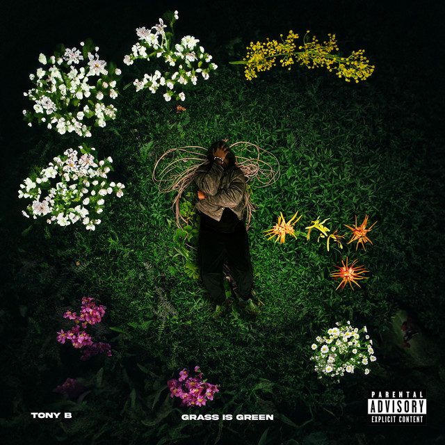 Grass Is Green - Single by Tony B | Spotify