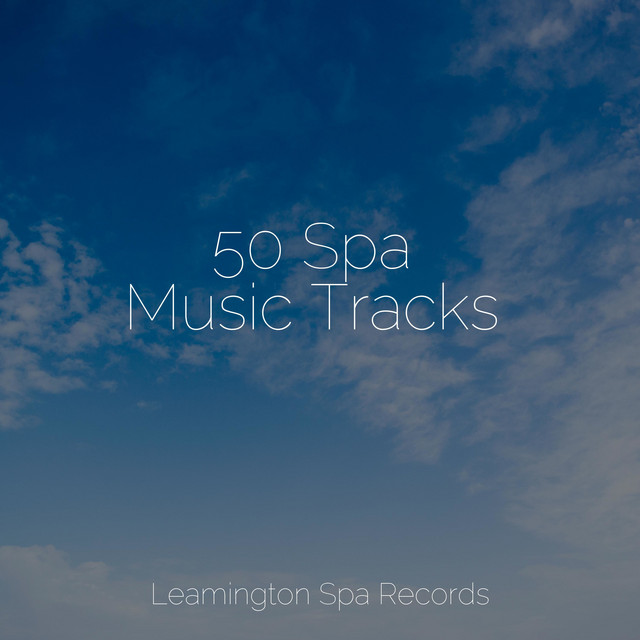 50 Spa Music Tracks - Album by Monarch Baby Lullaby Institute | Spotify