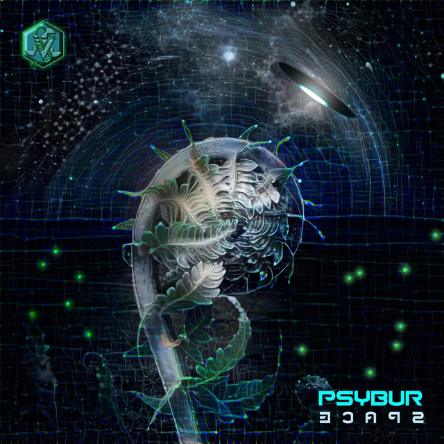 Psybur Space cover art
