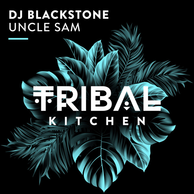 Uncle Sam - Extended Mix album art