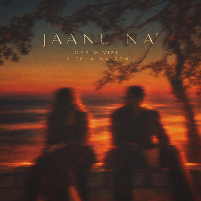 Jaanu Na album image