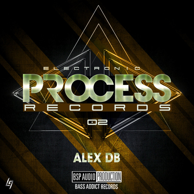 Electronic Process Records 02 cover