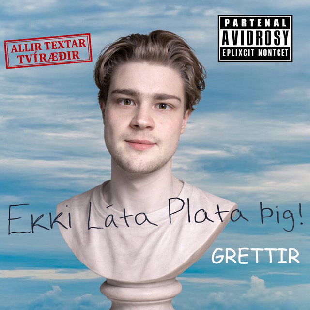 Ekki Láta Plata Þig cover art