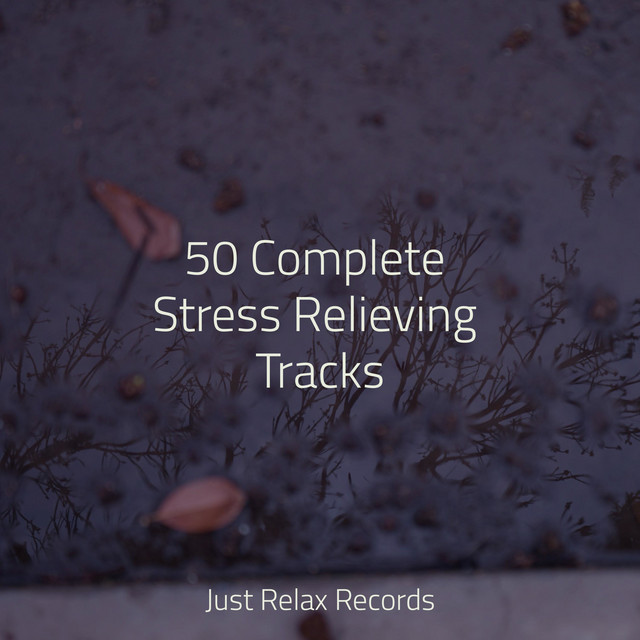 50 Complete Stress Relieving Tracks