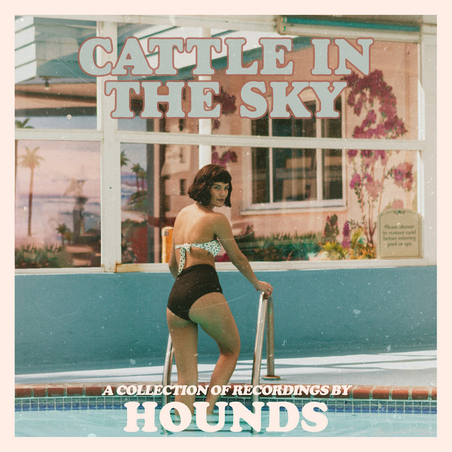 Cattle In The Sky cover art