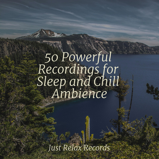 50 Powerful Recordings for Sleep and Chill Ambience - Album by Yoga ...