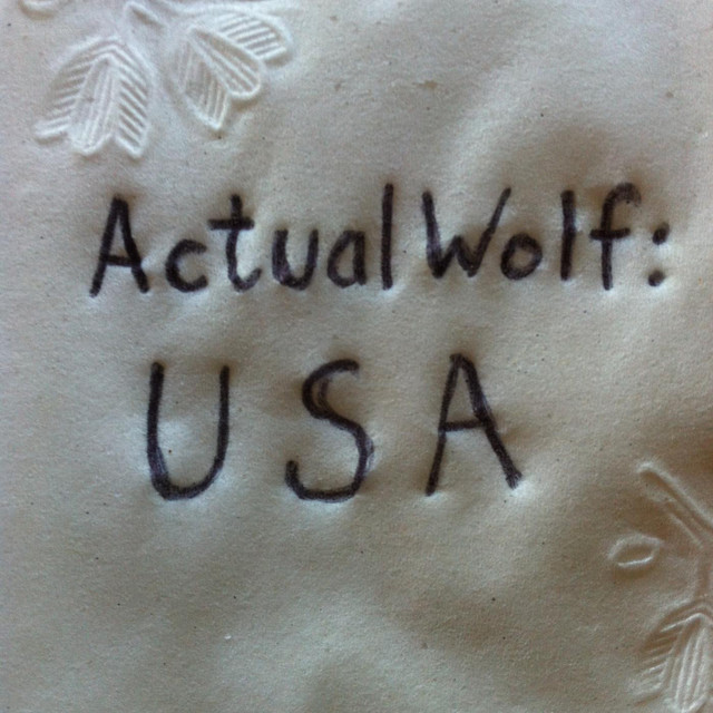 Actual Wolf: Usa cover art