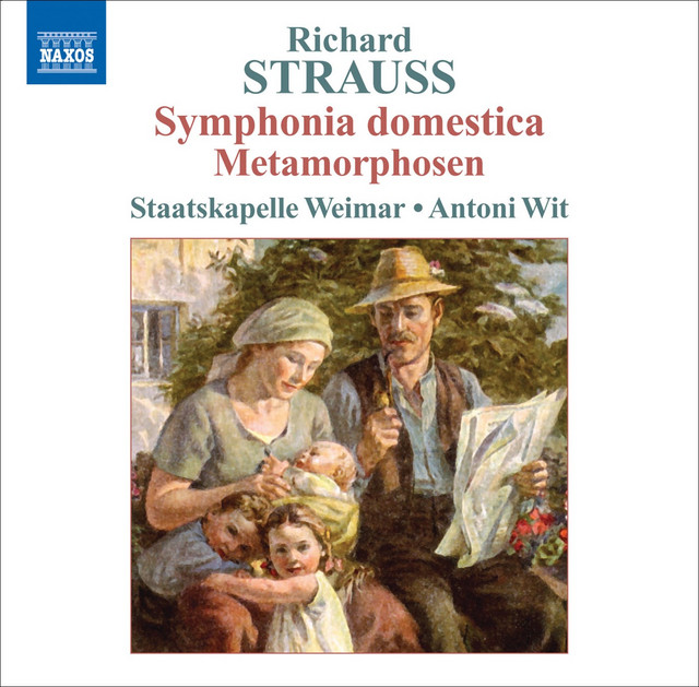 Symphonia domestica, Op. 53, TrV 209: Wiegenlied - cover art