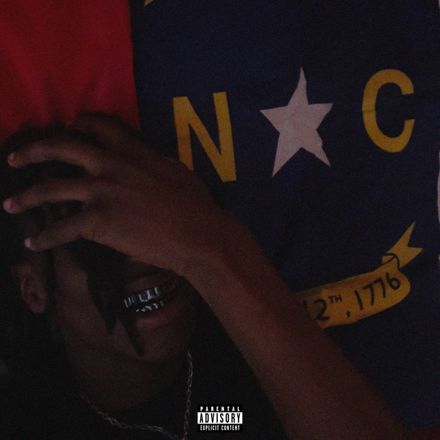 MECKLENBURG COUNTY cover art
