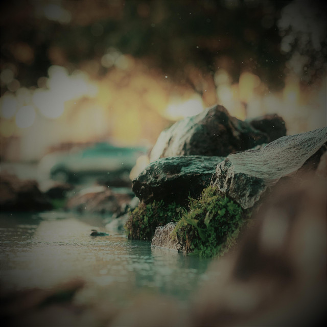 Ad Fontes cover