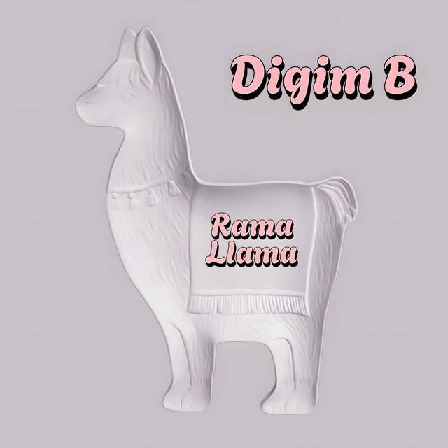 DIGIM B
