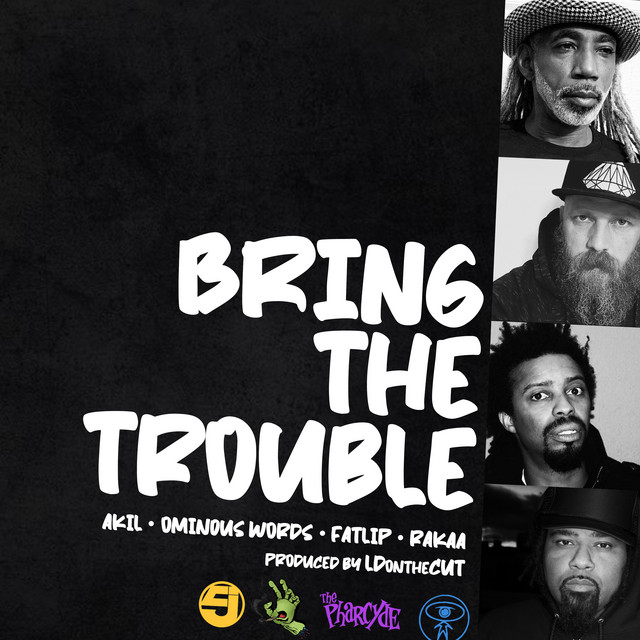 Bring the Trouble cover