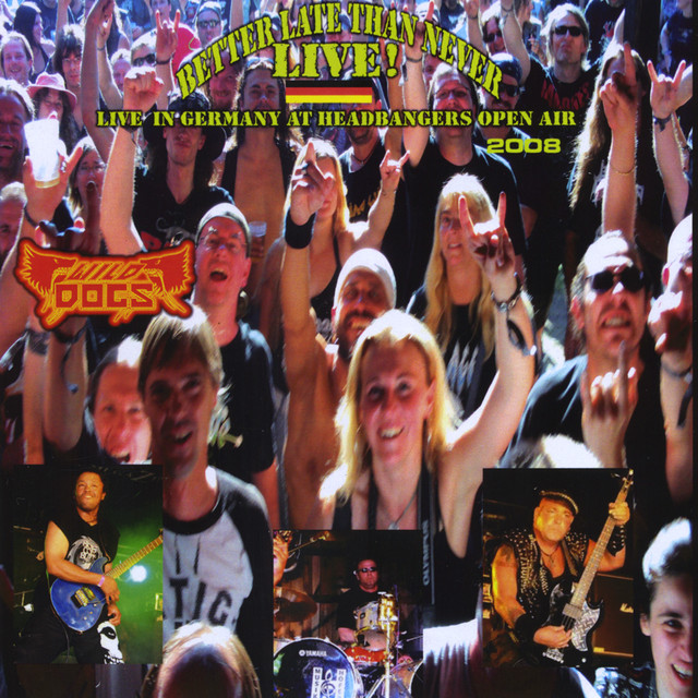 Live At Headbangers Open Air cover art