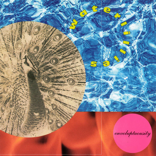 Envoluptuousity cover