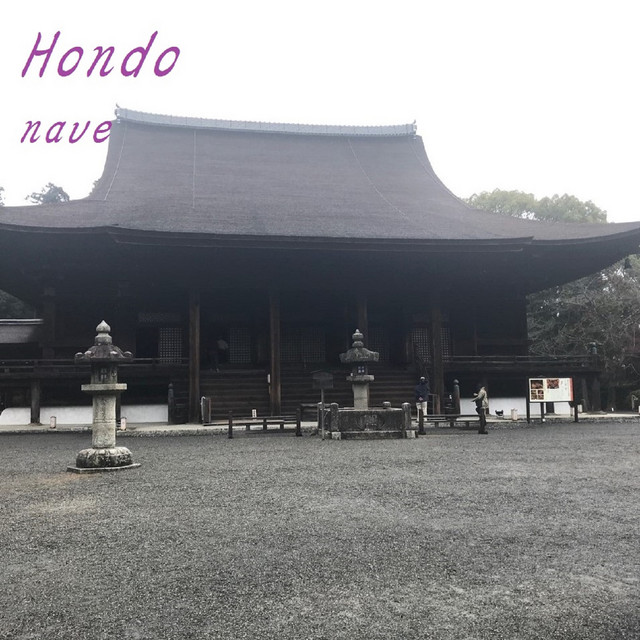 nave cover art