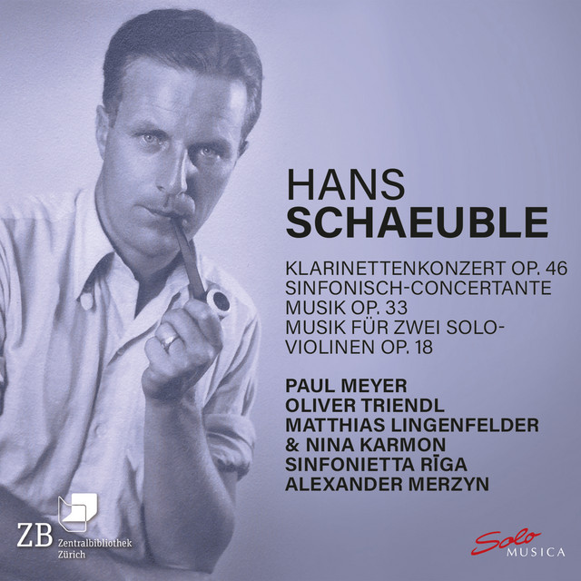 Schaeuble: Concertos
