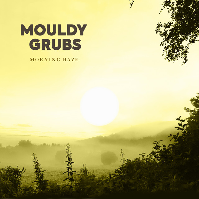 Morning Haze cover art