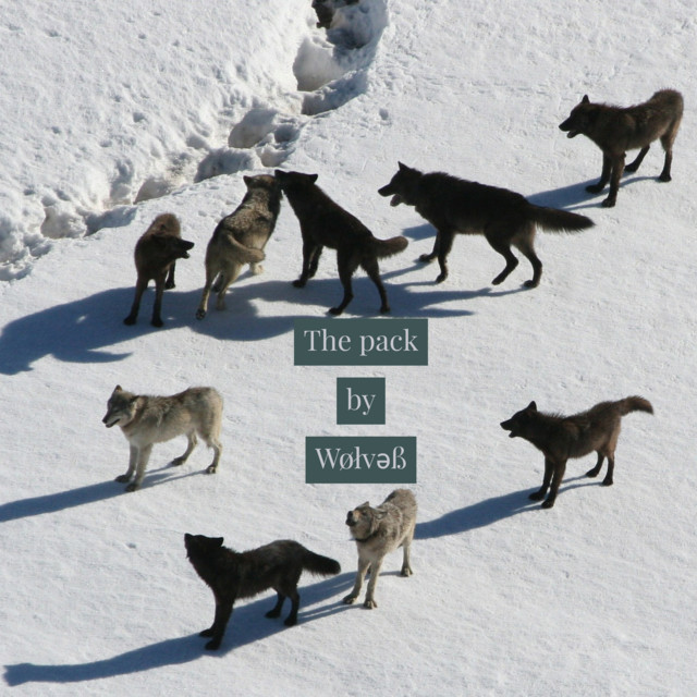 The pack cover art