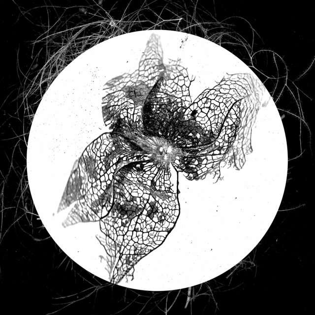 Kontinuum cover art