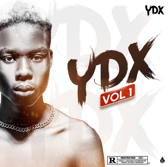 YDX VOL.1 cover art