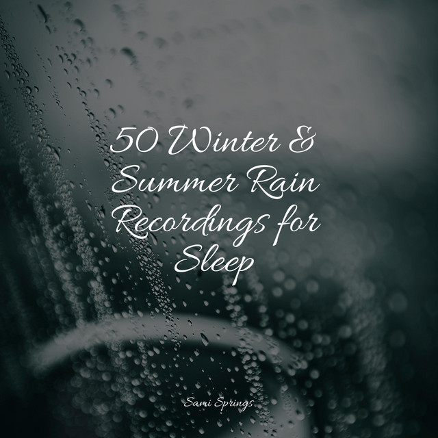 50 Winter & Summer Rain Recordings for Sleep - Album by Sons da ...