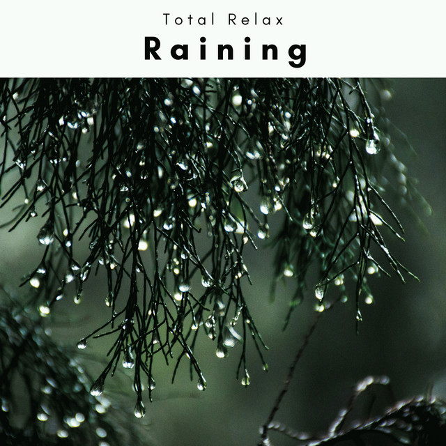 4 Relax: Raining Raining cover art