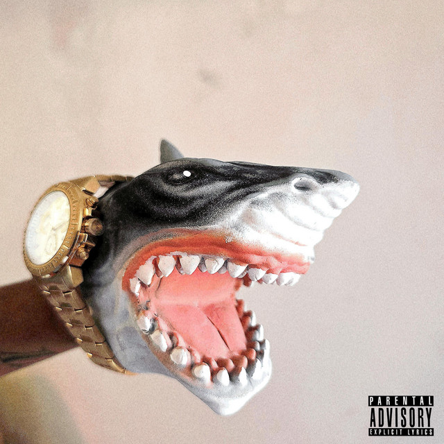 SHARK FOOD