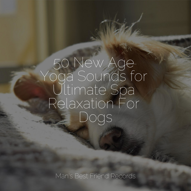 50 New Age Yoga Sounds for Ultimate Spa Relaxation For Dogs - Album by ...