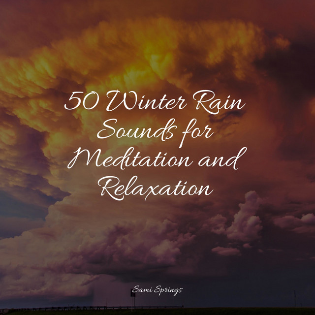 50 Winter Rain Sounds for Meditation and Relaxation - Album by Life ...