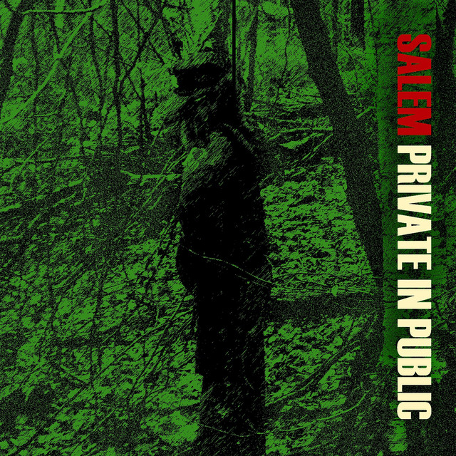 Private In Public cover art