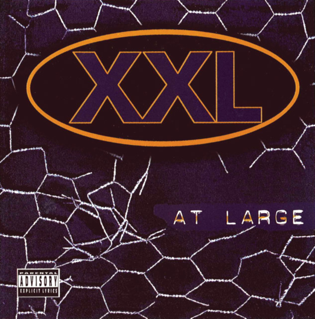 At Large cover art