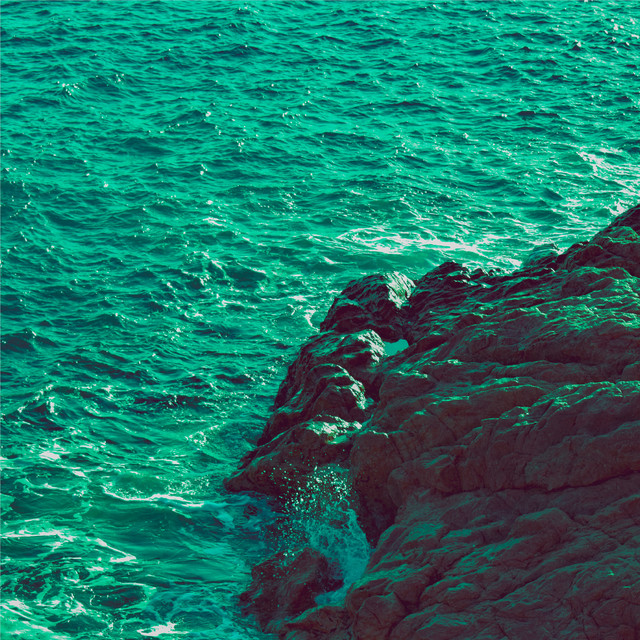 Swim to Shore cover art