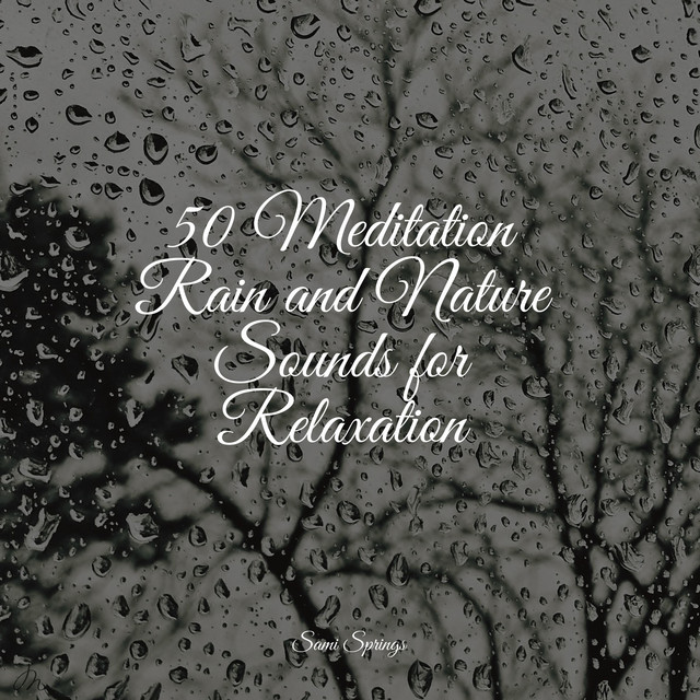 50 Meditation Rain and Nature Sounds for Relaxation - Album by ...