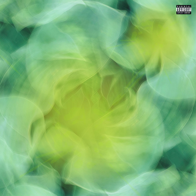 Organic Acid