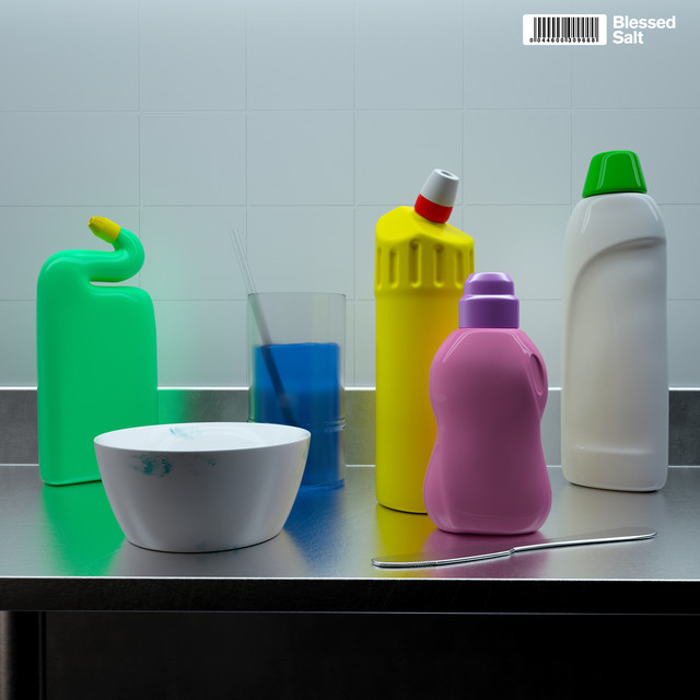 Salt cover art