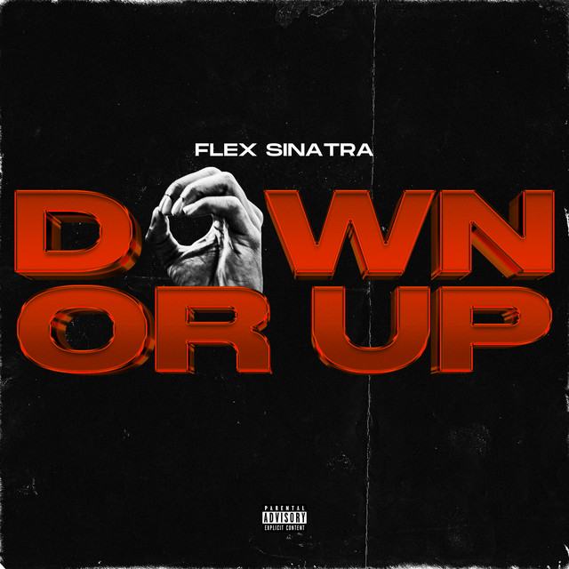 Down or Up cover art