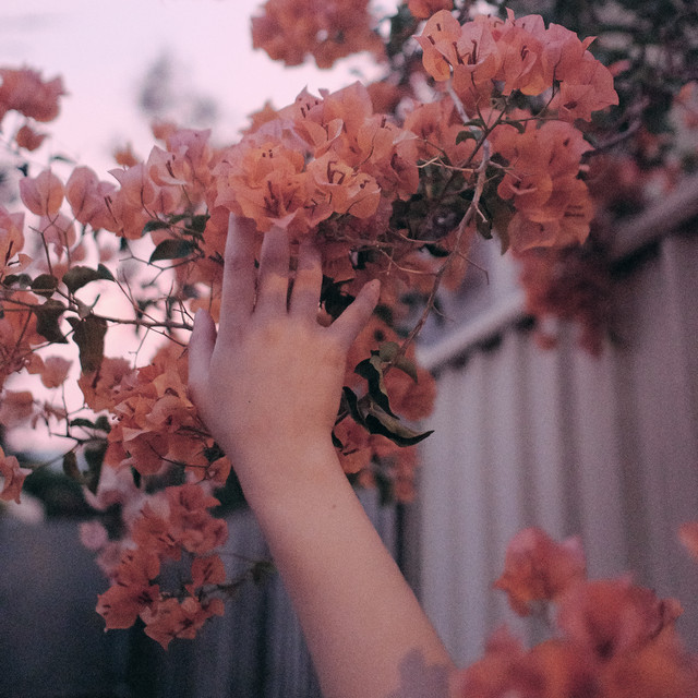 Slowlands Photo