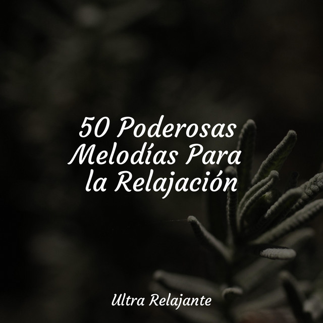 50 Poderosas Melodías Para la Relajación cover art