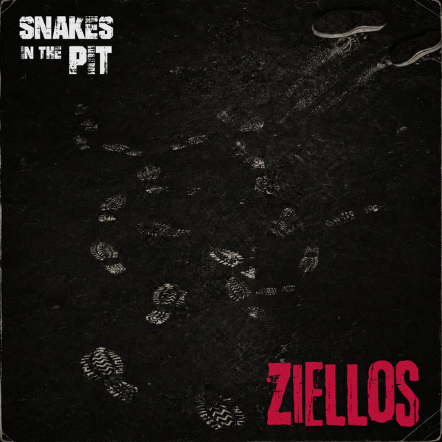 Ziellos Cover