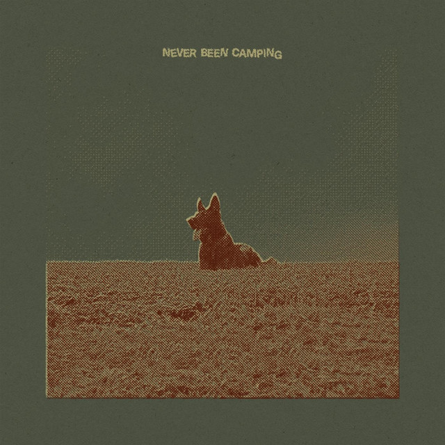 Never Been Camping cover art