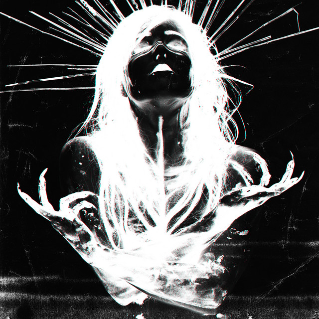 SNVFF cover